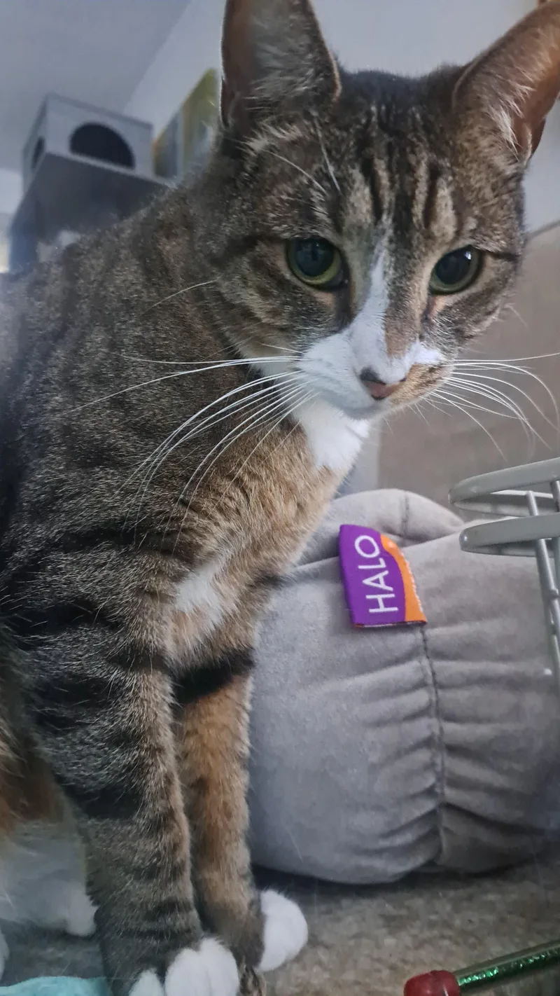 Vinny And Obi thumbnail 4