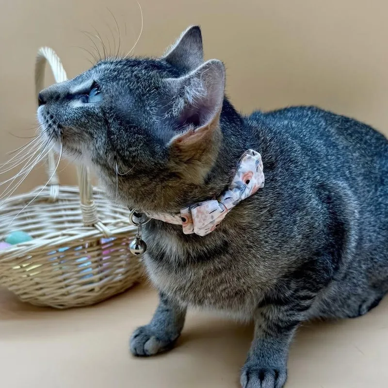 Brooklyn thumbnail 5