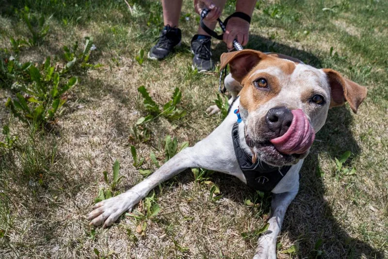 Jedidiah thumbnail 4