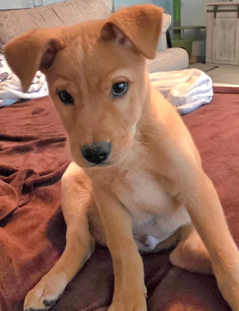 Tucker