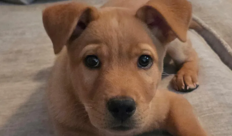 Tucker thumbnail 5