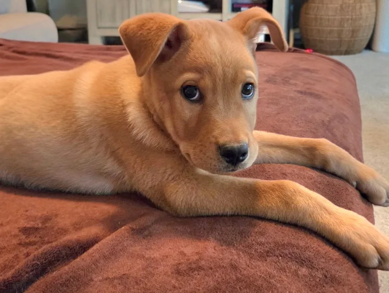 Tucker thumbnail 6