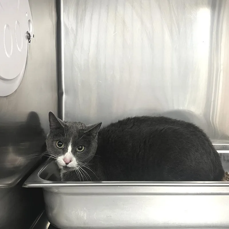 Lucy Lou thumbnail 3