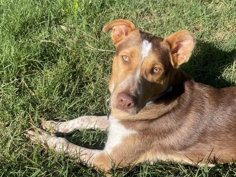 BammBamm thumbnail 2