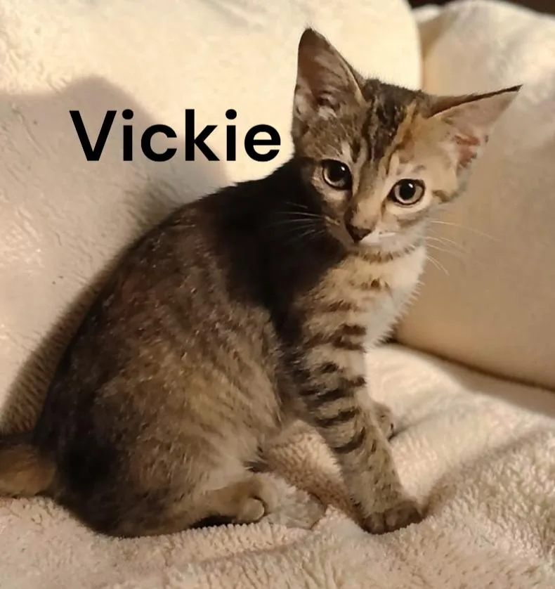 Vickie thumbnail 2