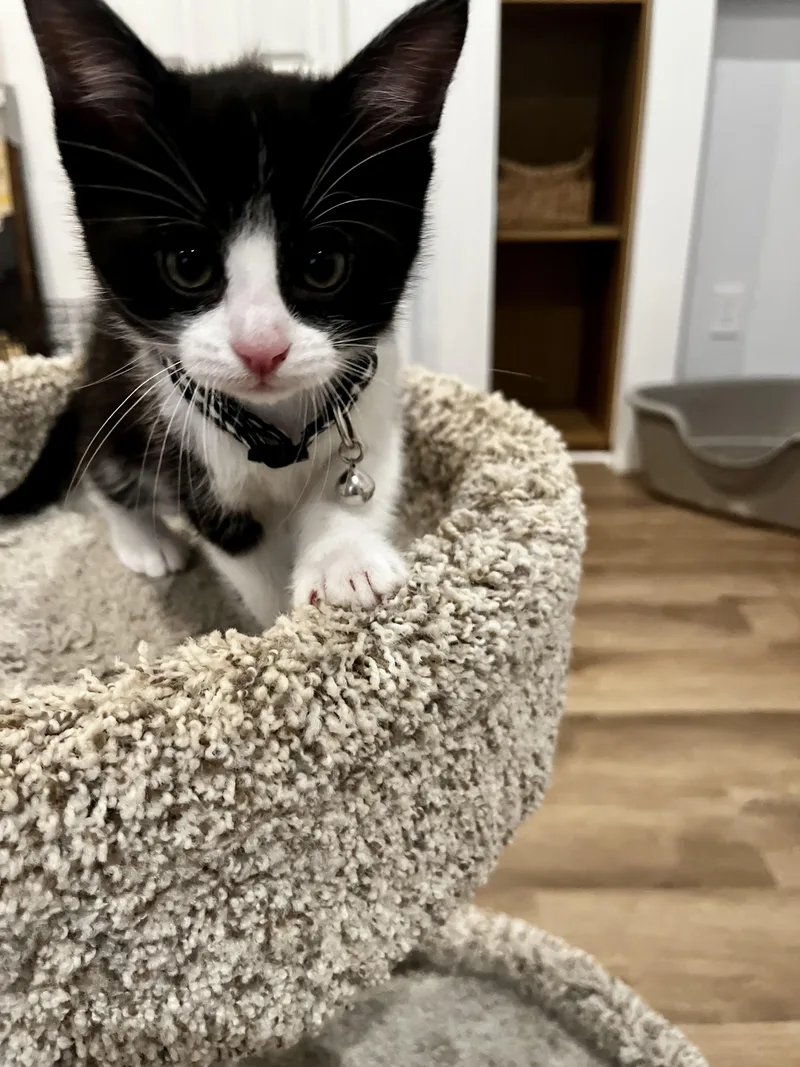 Willie thumbnail 3