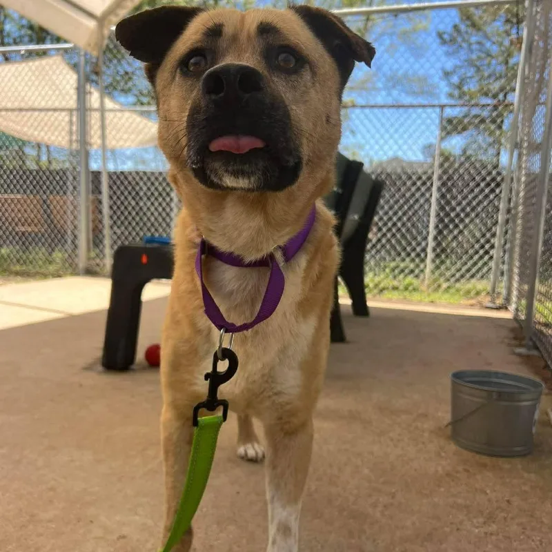 Thatcher thumbnail 5