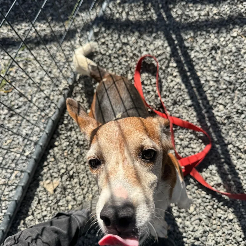 Griselda thumbnail 2