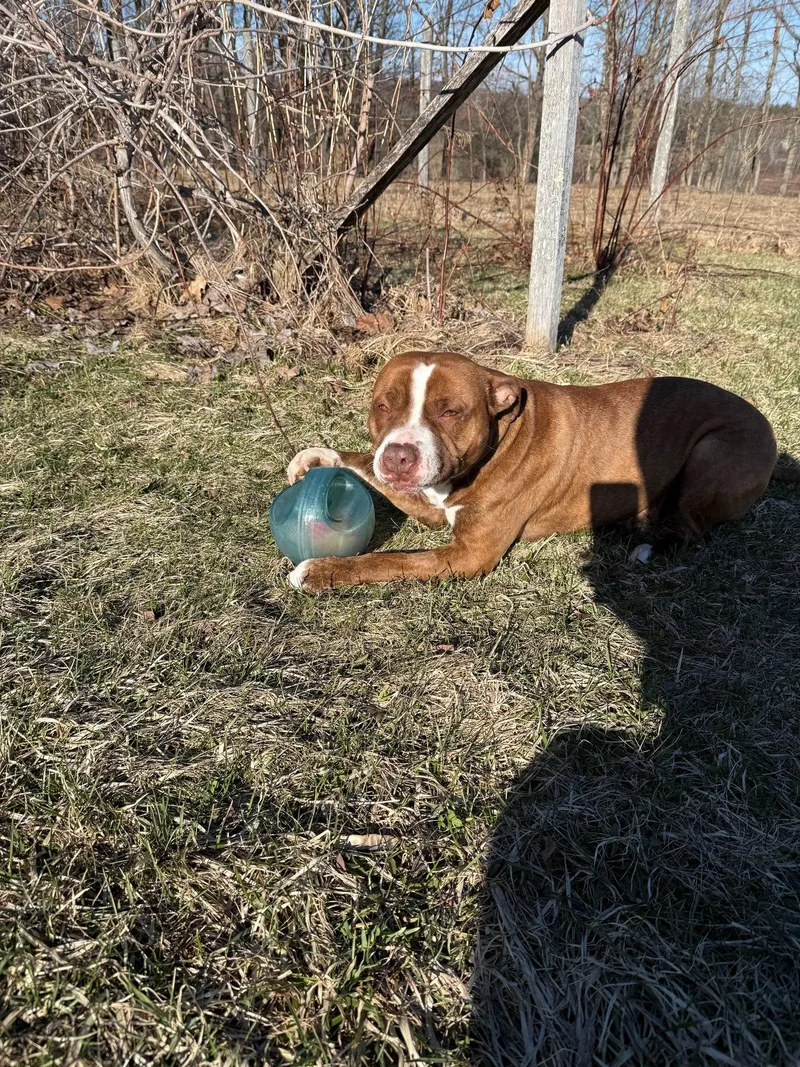 Carol Ann thumbnail 2