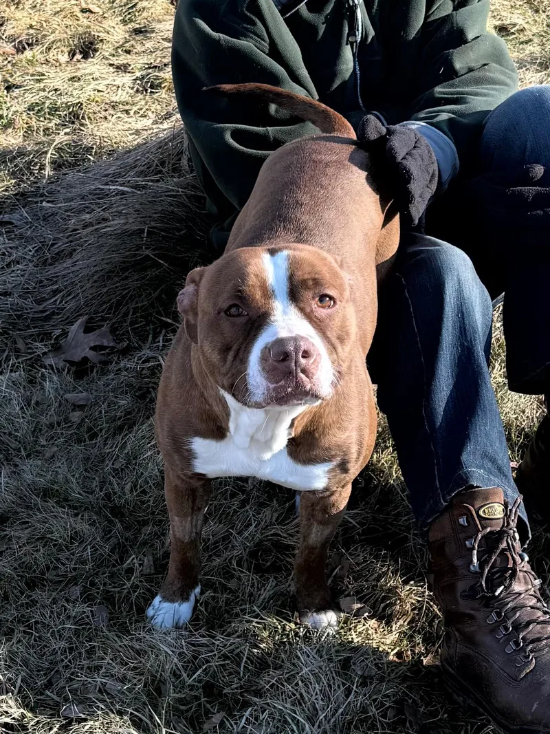 Carol Ann thumbnail 3