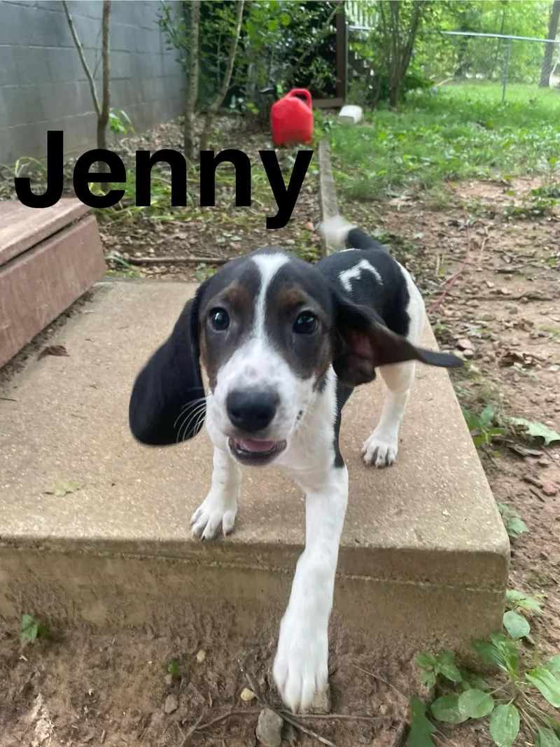 Jenny