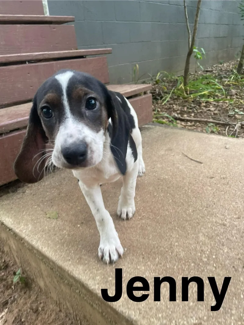 Jenny thumbnail 2
