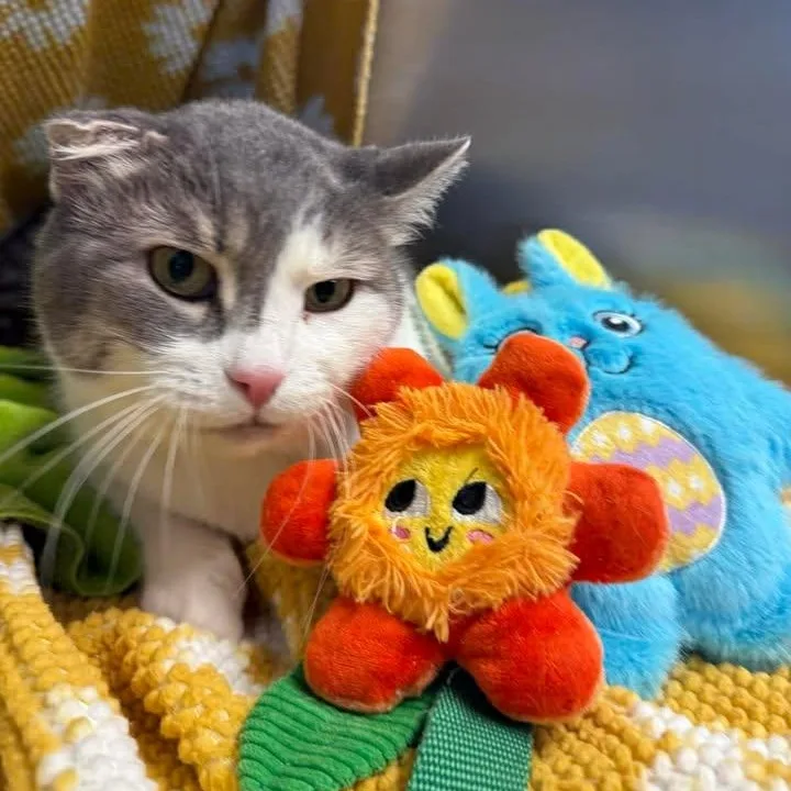 Charleigh thumbnail 2