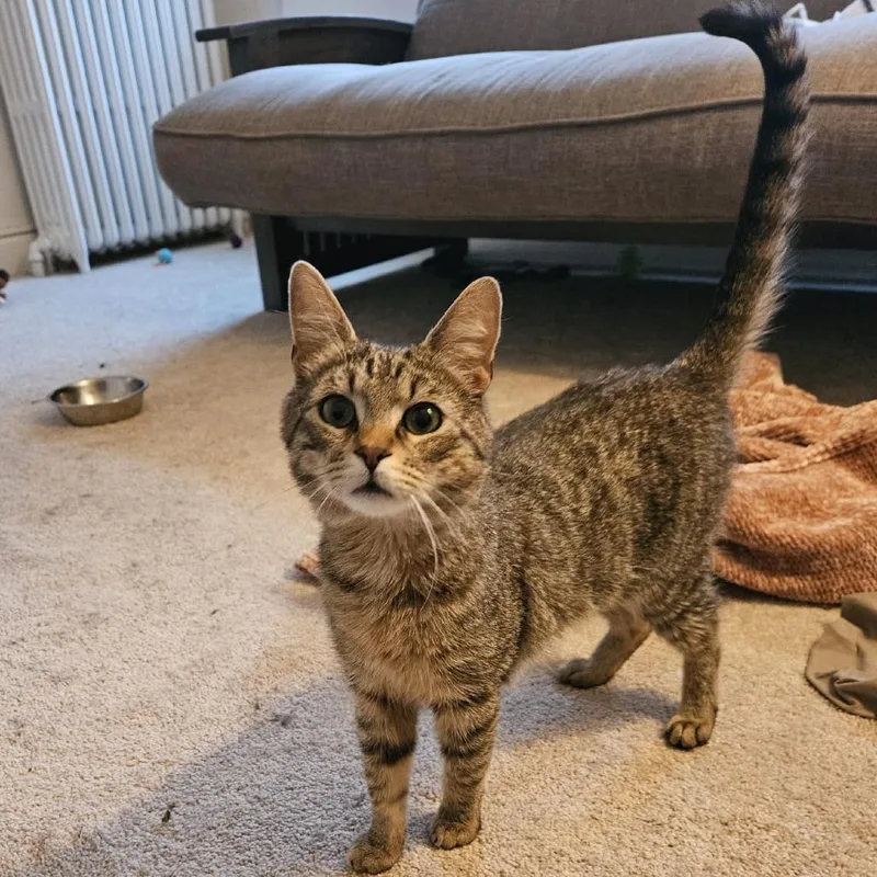 Franklin