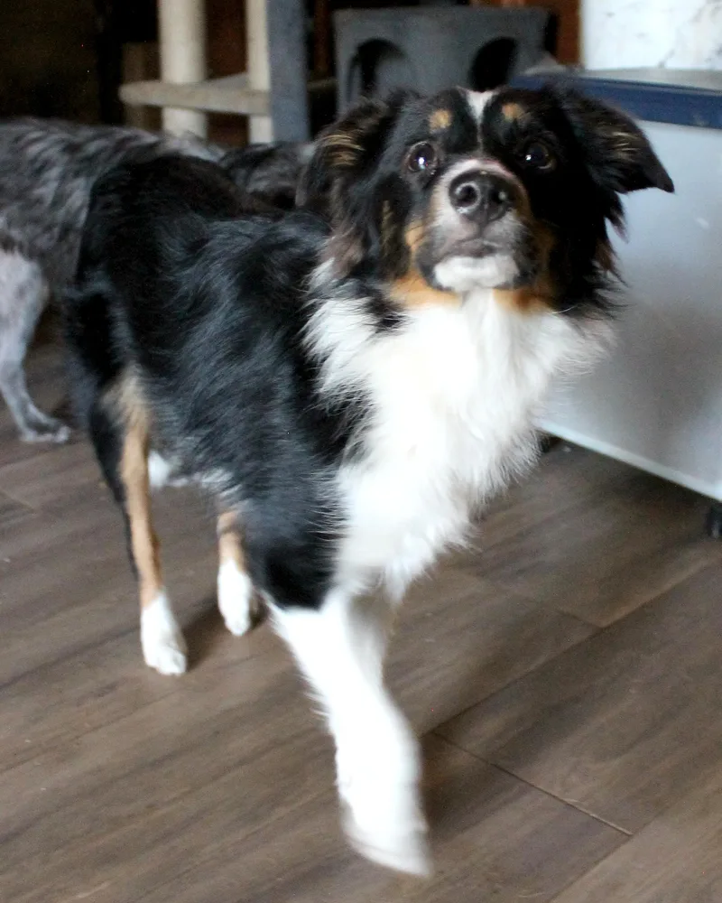 Chloe thumbnail 3