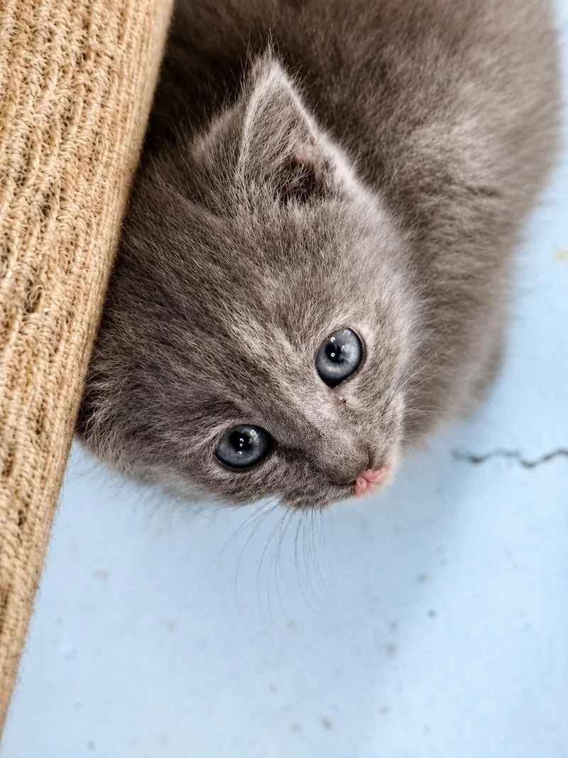 Baby thumbnail 4