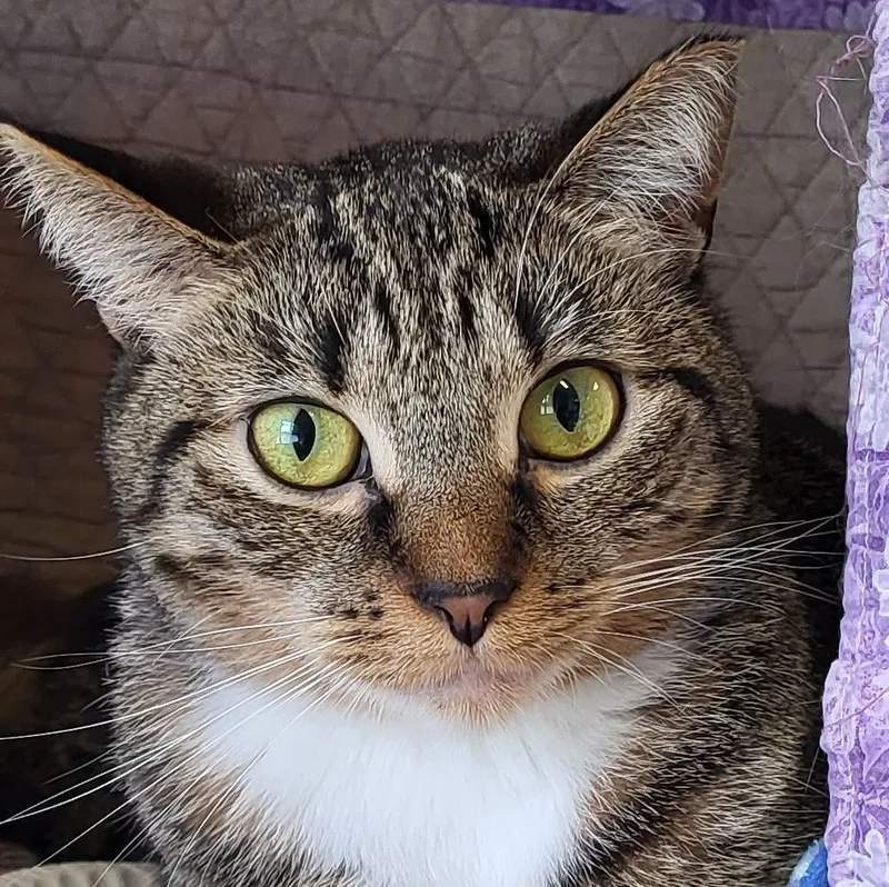 Phillipa thumbnail 3