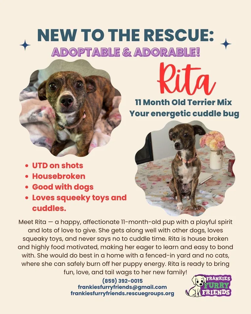 Rita thumbnail 3