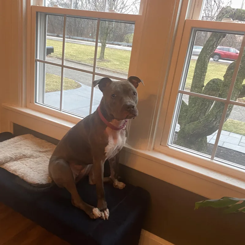 Gretchen thumbnail 2