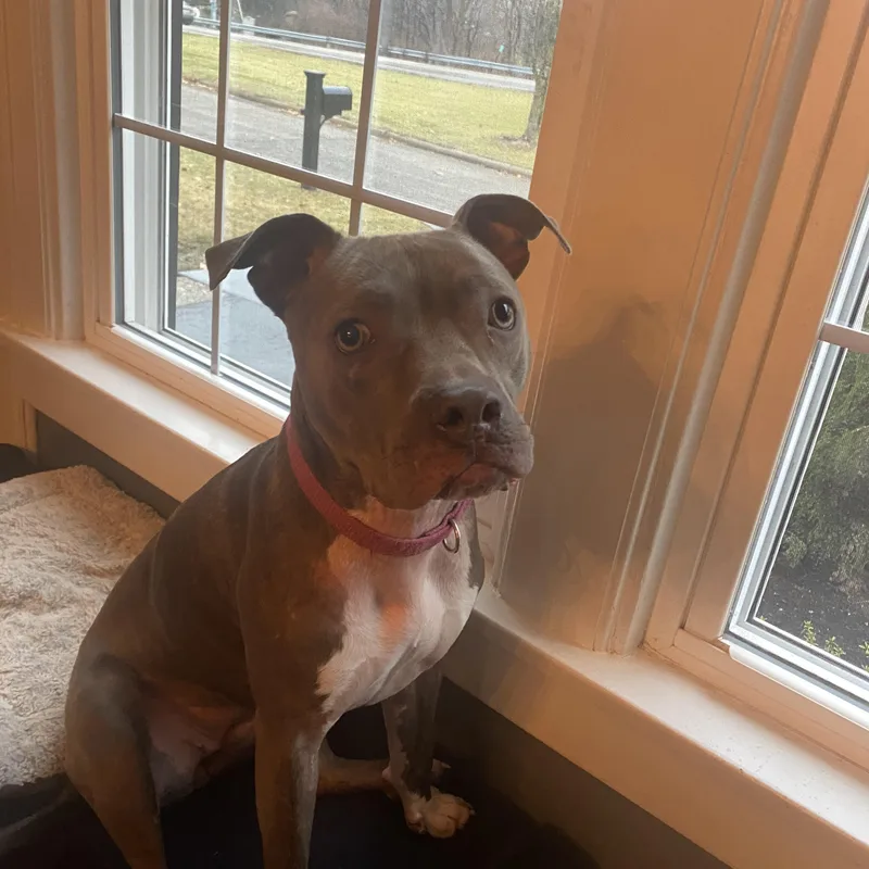 Gretchen thumbnail 3