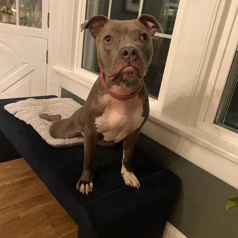 Gretchen thumbnail 4