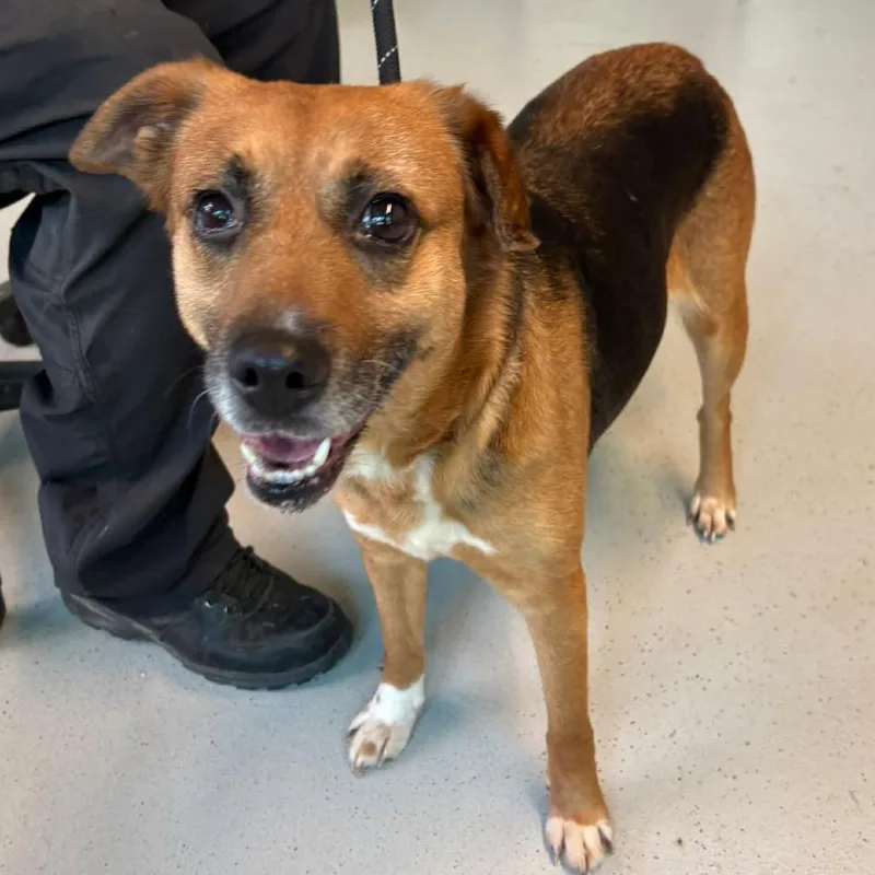 Helen Stray Hold