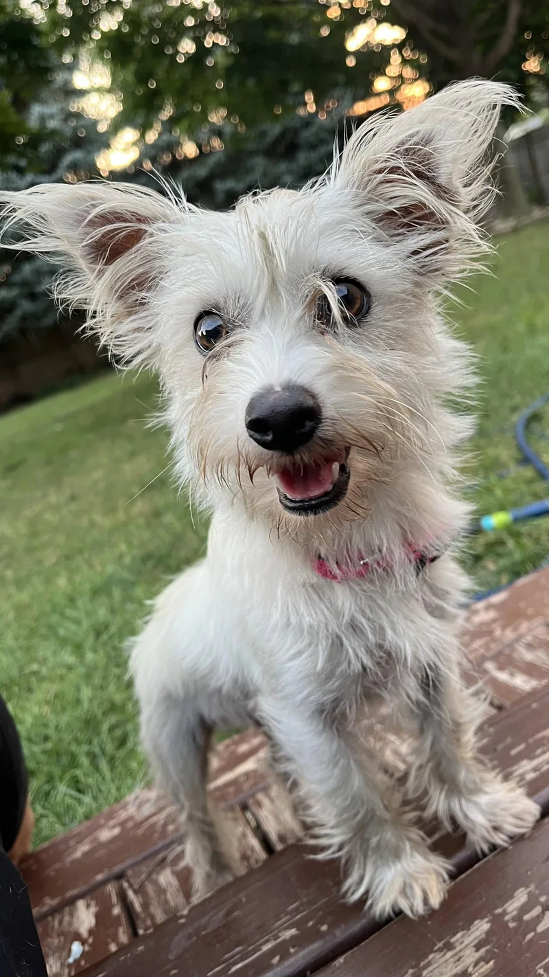 Matilda