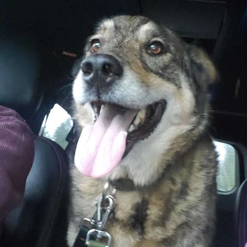 Mr. Rogers thumbnail 2