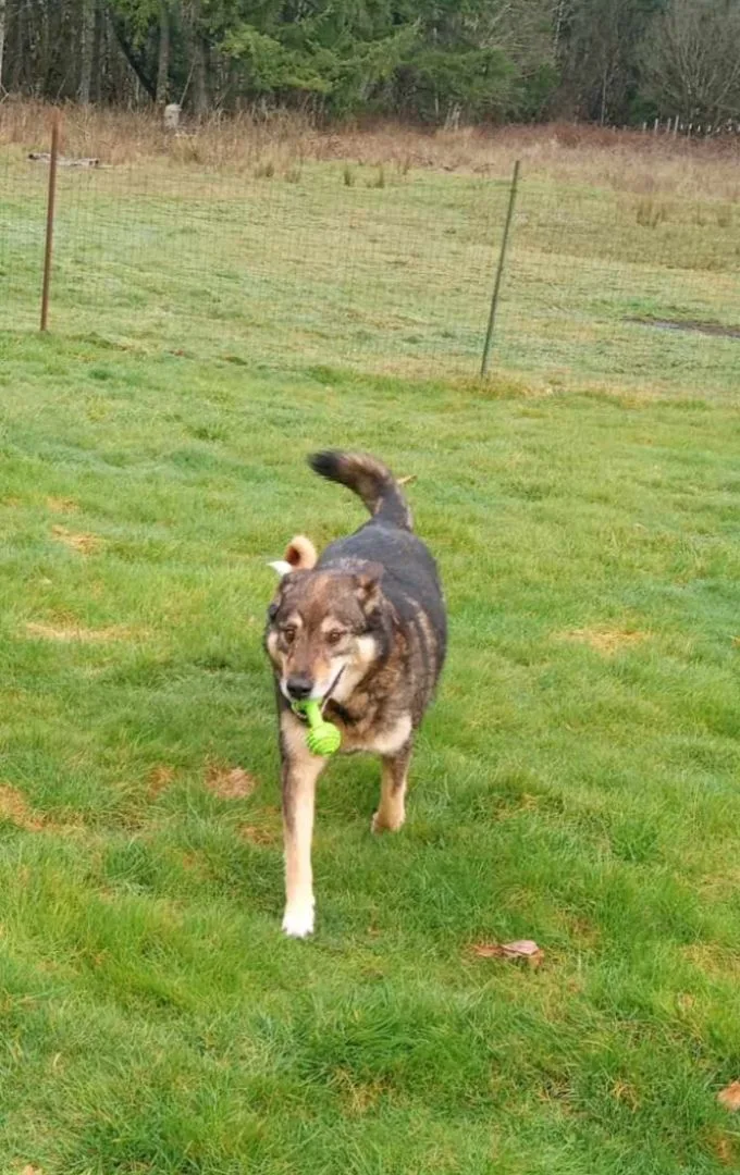 Mr. Rogers thumbnail 3