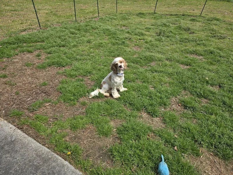 Edgar Allan Poe thumbnail 2