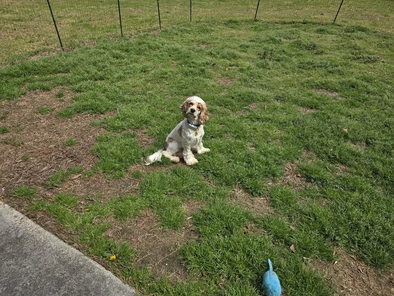 Edgar Allan Poe thumbnail 3