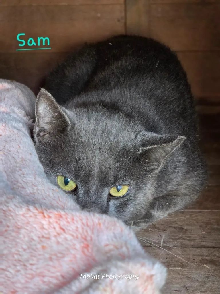 Sam