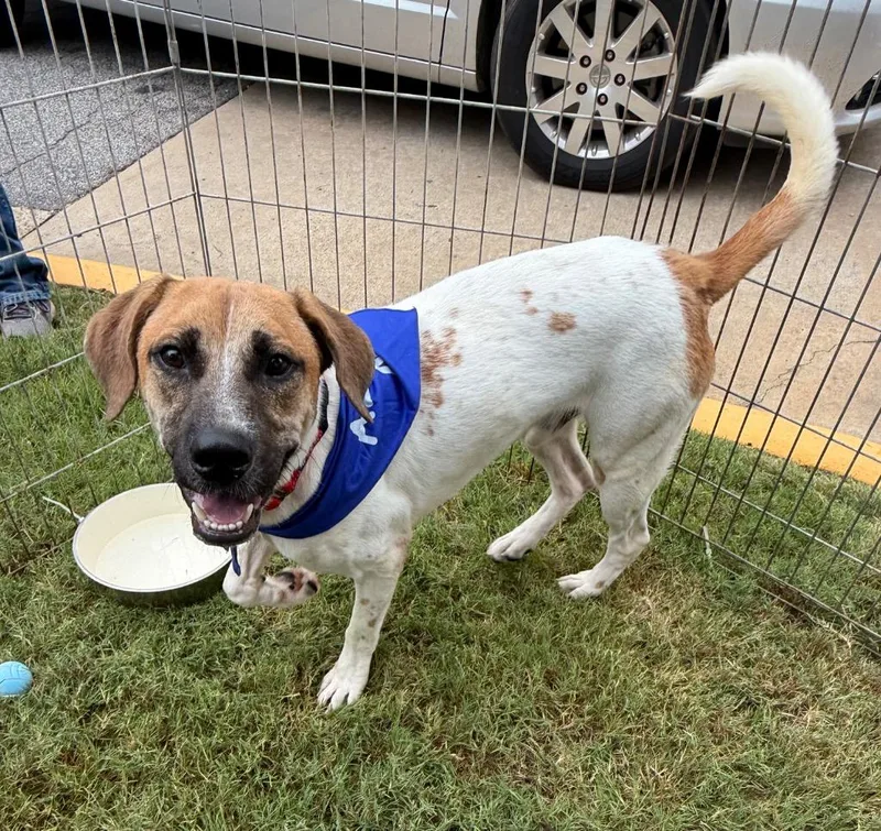 Beau Bailey thumbnail 2