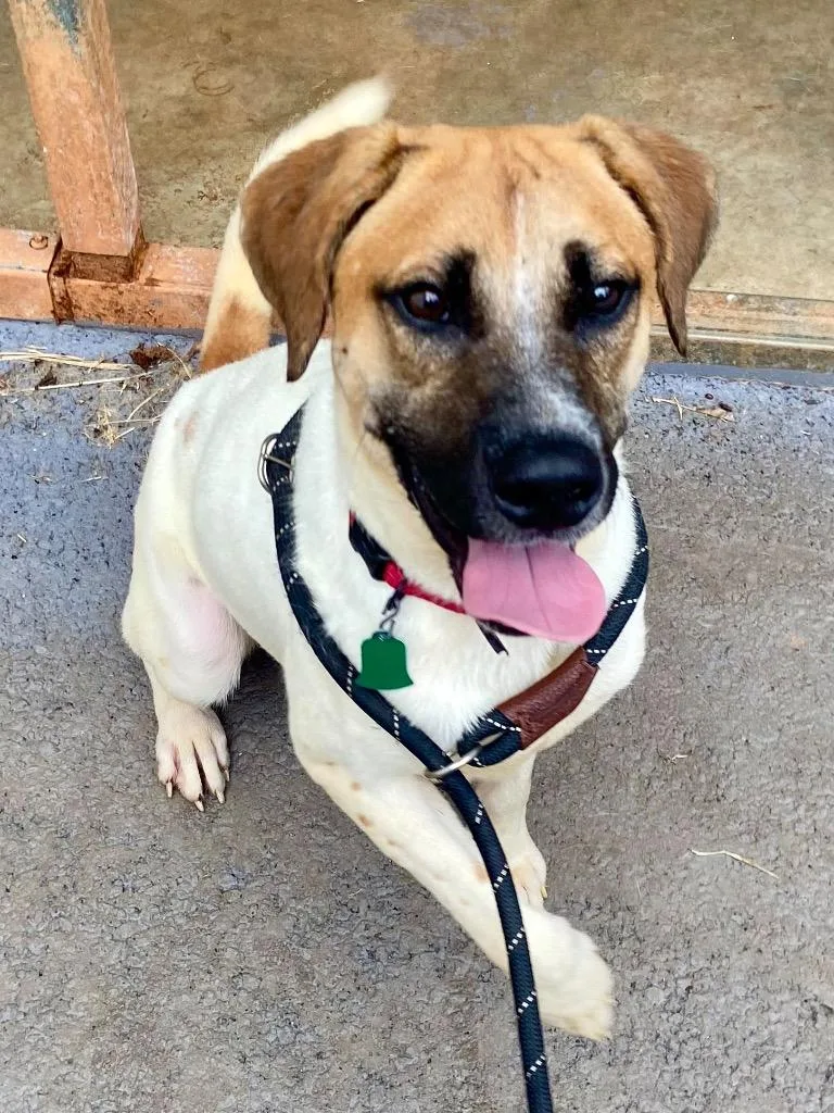 Beau Bailey thumbnail 4