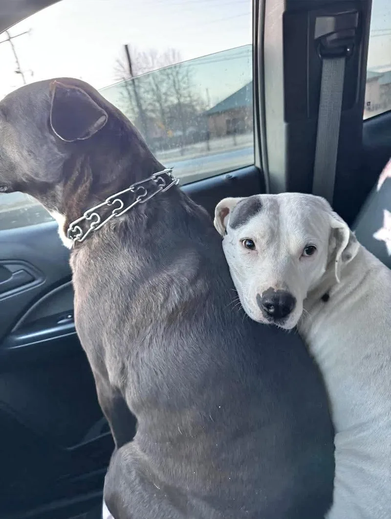 Milky Way thumbnail 2