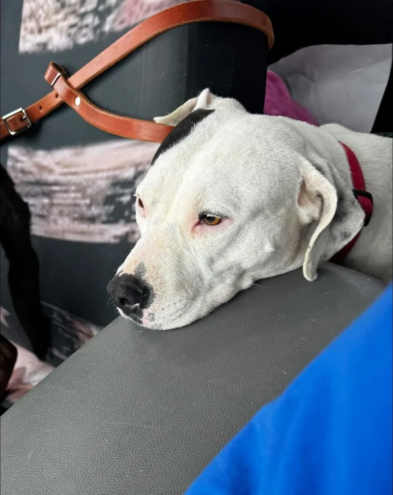 Milky Way thumbnail 3