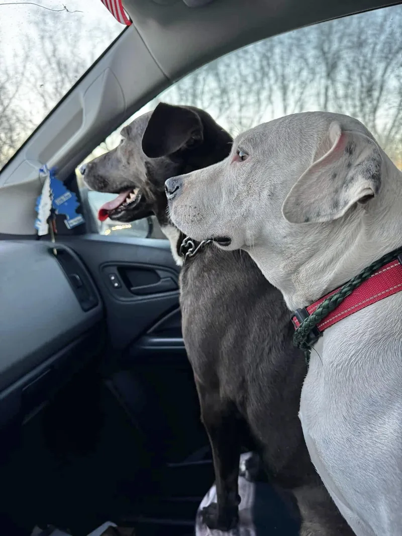 Milky Way thumbnail 4