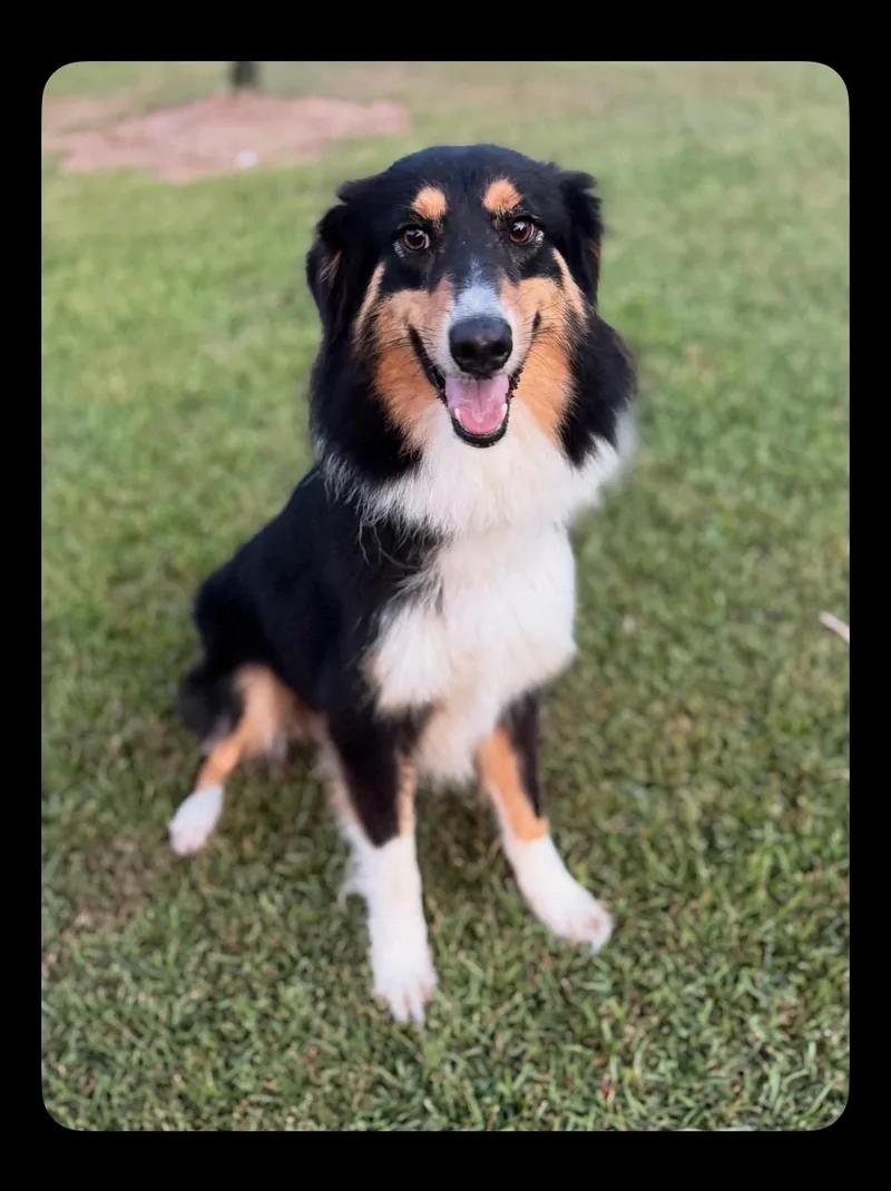 Roscoe