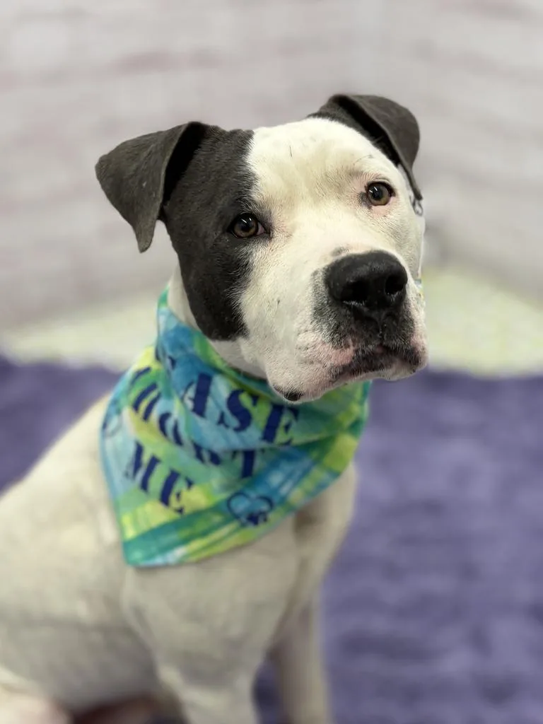 Bill Nye thumbnail 2