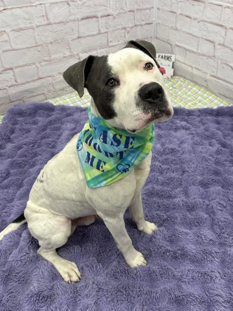 Bill Nye thumbnail 3