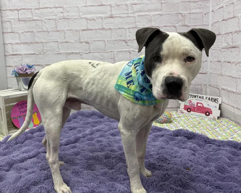 Bill Nye thumbnail 5