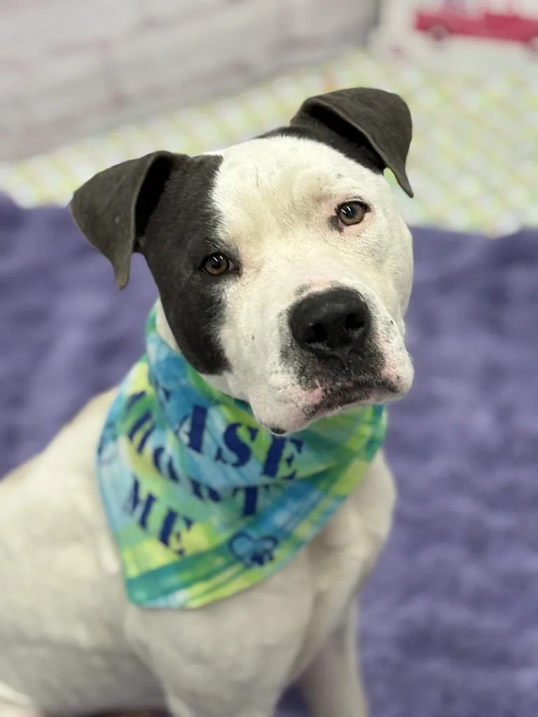 Bill Nye thumbnail 6