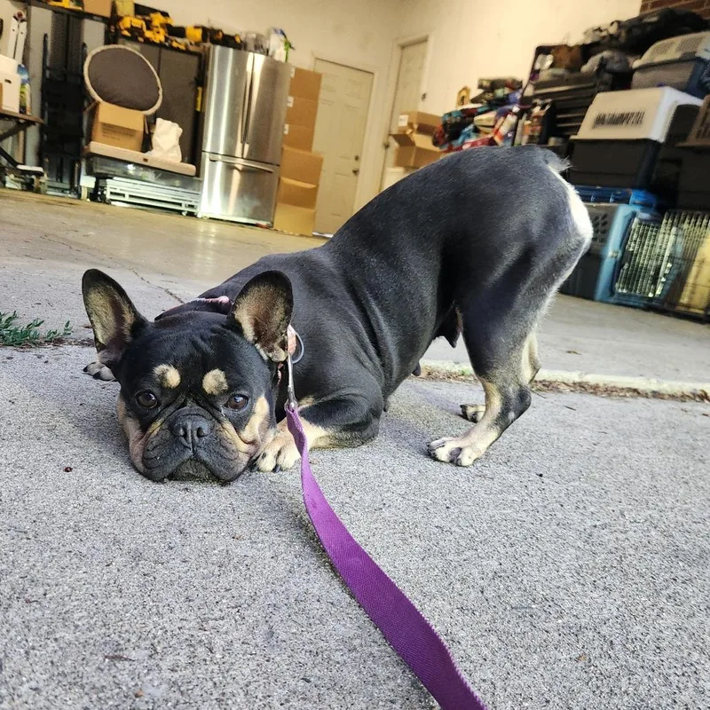 Roxy thumbnail 3