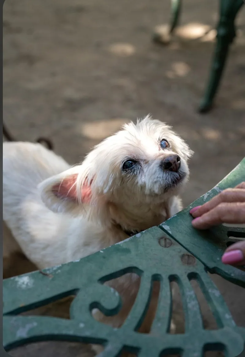 Sammie thumbnail 2