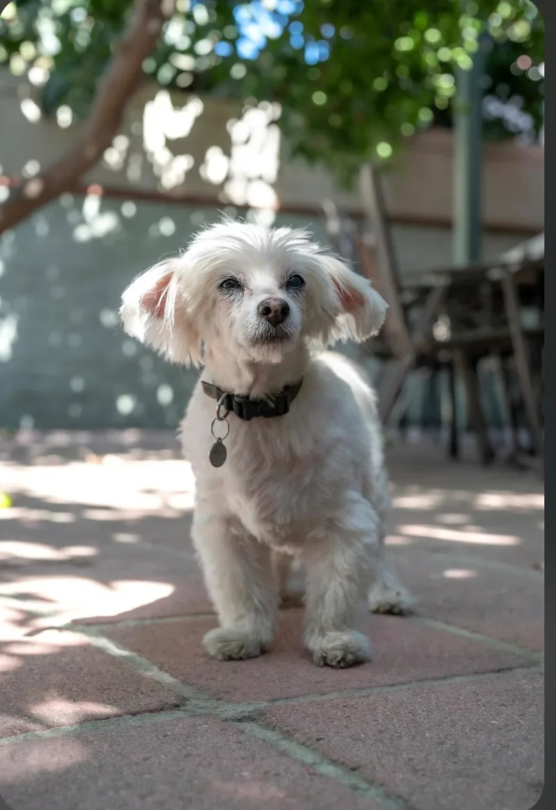 Sammie thumbnail 3