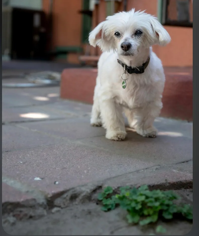 Sammie thumbnail 6