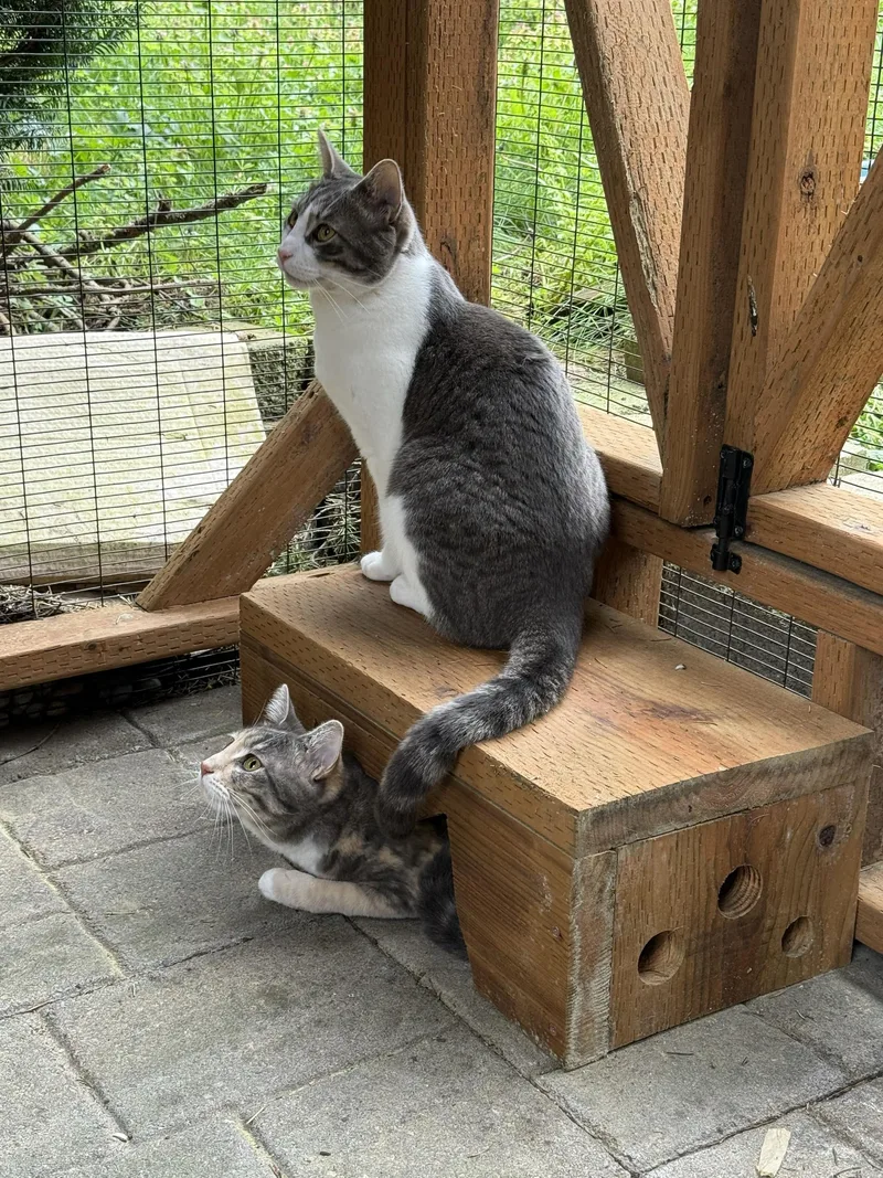 Gene and Gertie