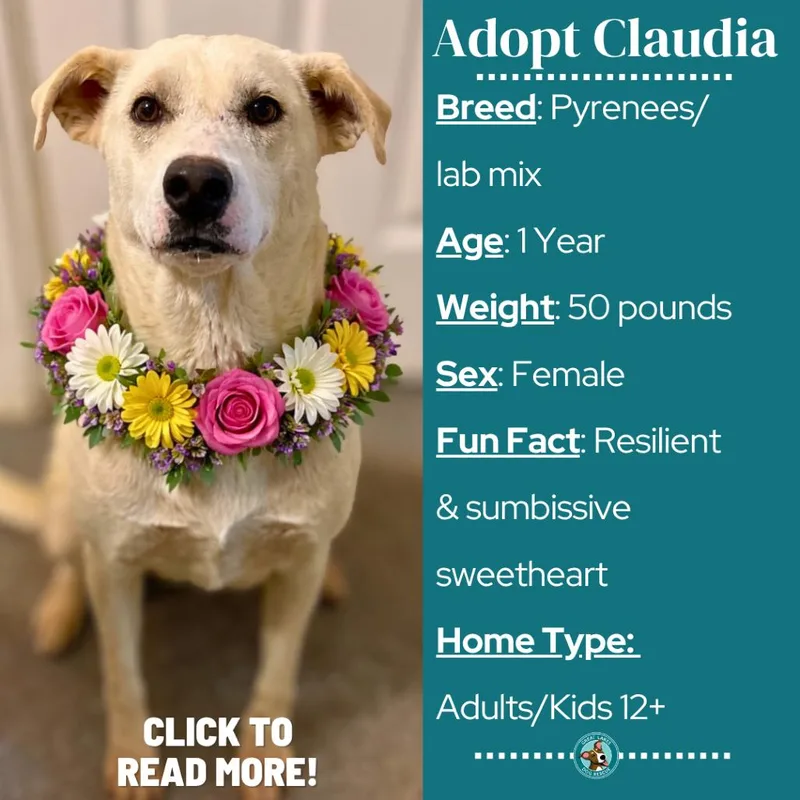 Claudia thumbnail 4