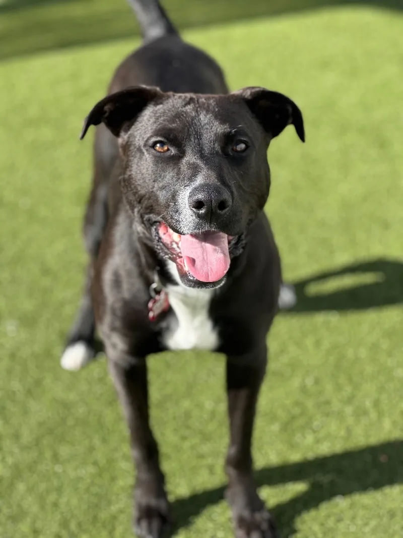 Little Bit thumbnail 2