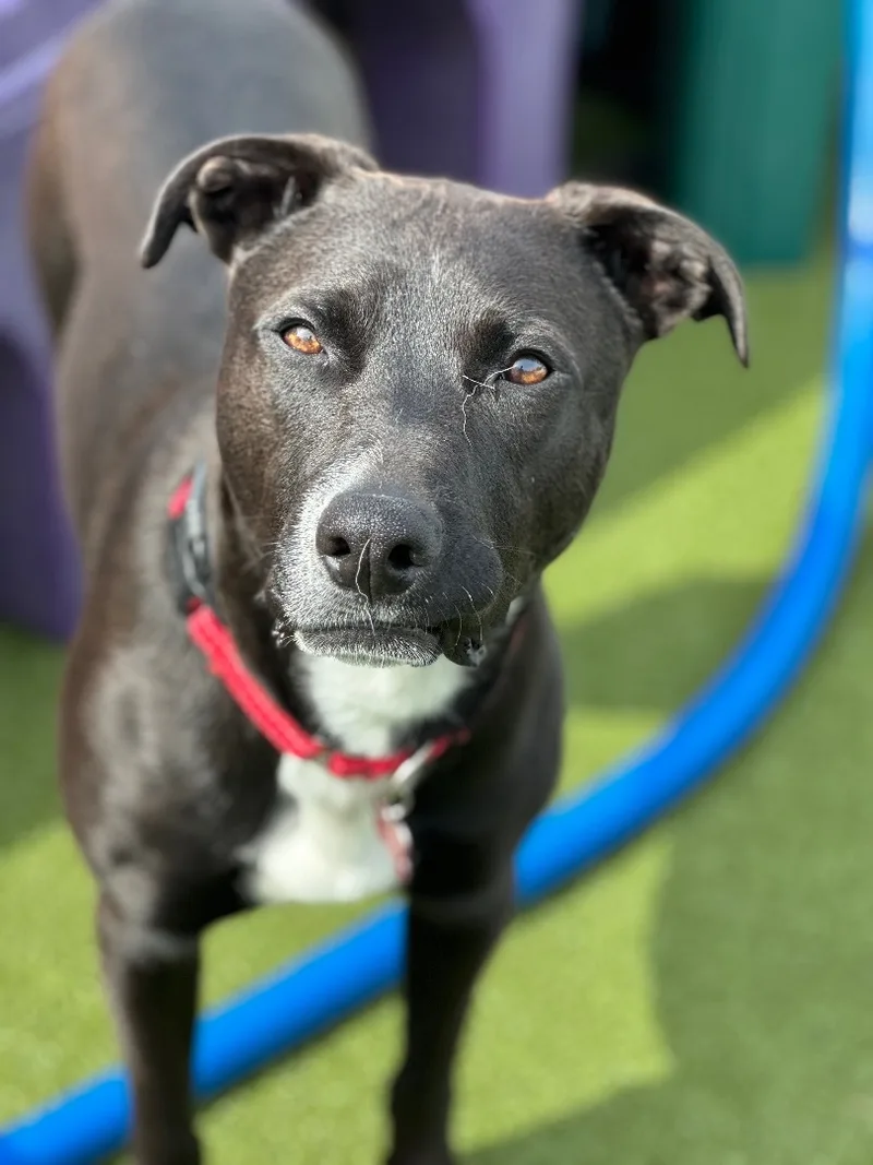 Little Bit thumbnail 3